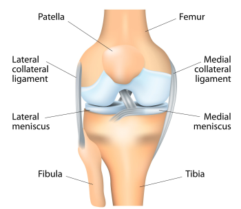 dureri la nivelul psihosomaticelor articulației genunchiului provoacă articulațiile șoldului